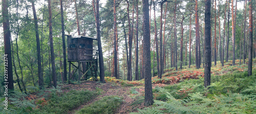 panorama-Traditional wooden hunting high seat hidden among trees in a dense green forest landscape