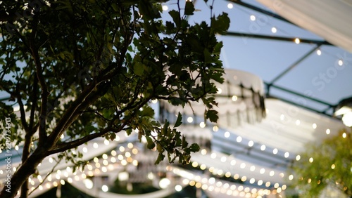 Outdoor event tent with green tree in foreground and string lights in soft focus background, elegant party decor