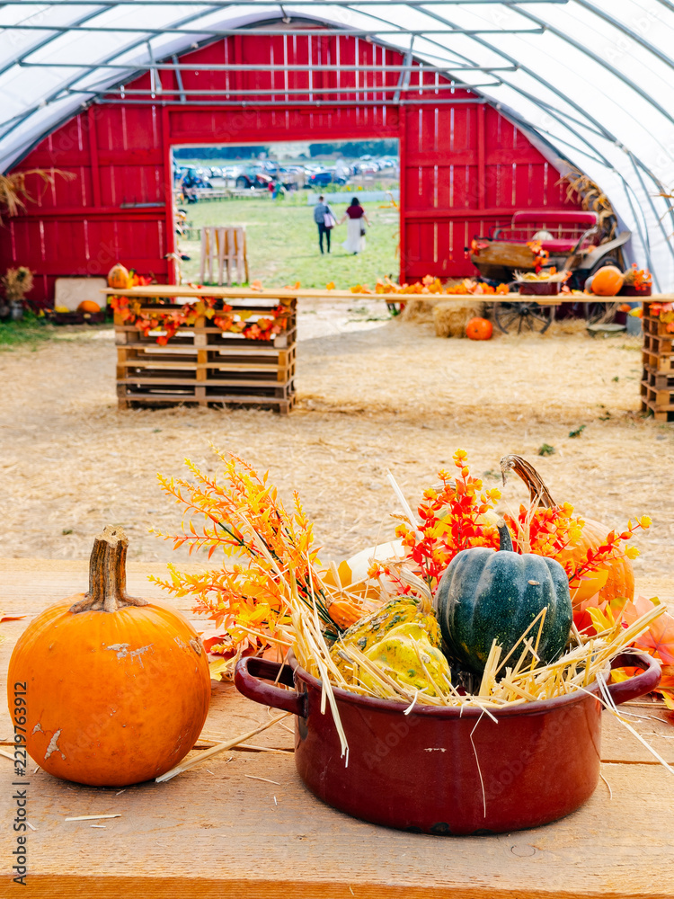 Fototapeta premium A pot of gourds and straw stands beside a pumpkin. A green squash rises among orange floral decorations with a red doorway behind the table.