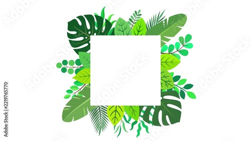 Tropical Green Leaves Frame Animation Square Border Loop Background Prores Alpha 4K 60 fps