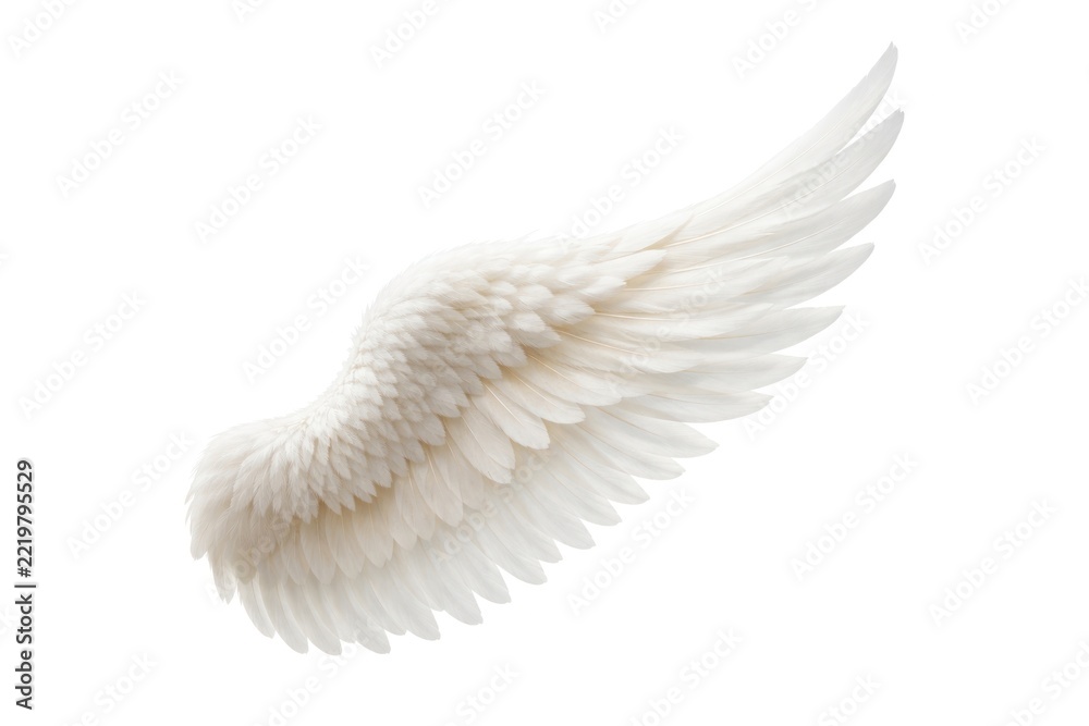 Fototapeta premium Elegant white angel wing on a clean background.