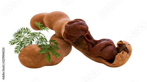 Ripe brown tamarind pods with green pinnate leaves and sticky pulp inside