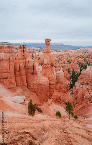 Bryce Canyon National Park hoodoos with the famous Thor's Hammer, Utah, USA, vertical banner