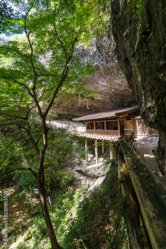 龍岩寺