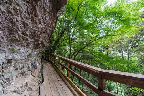 龍岩寺