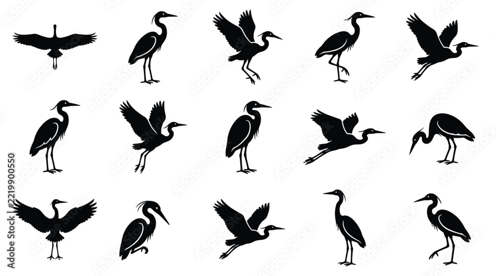 Fototapeta premium Collection of black heron bird silhouettes standing and flying isolated on plain white background vector 