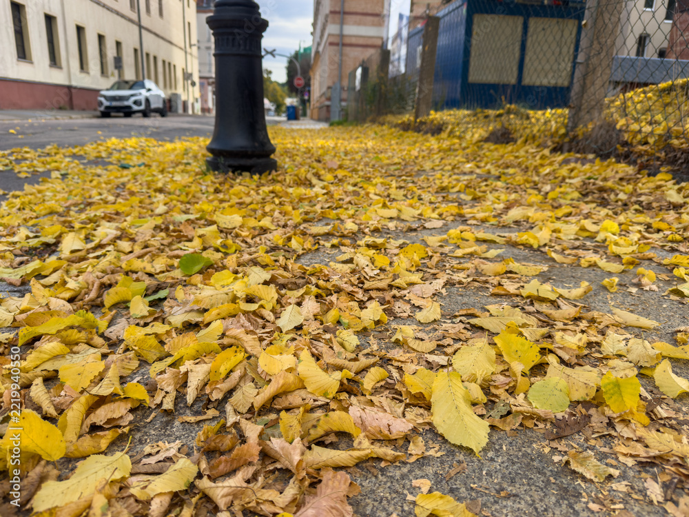 Fototapeta premium Autumn Leaves on a Sidewalk with Slippery Pavement in Fall