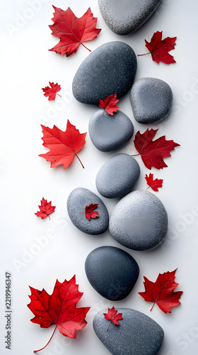 Zen stones and red maple leaves arranged in a vertical composition on a clean transparent background.