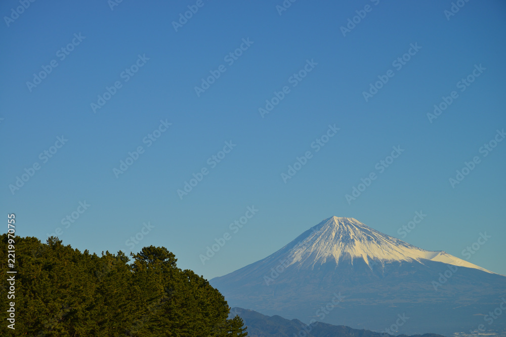 Fototapeta premium 三保の松原_富士山_静岡県静岡市清水区 