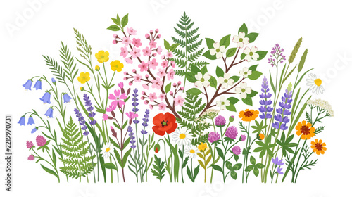 Vibrant Wildflower Meadow Collection - Spring Bloom Border