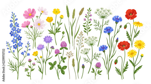 Vibrant Wildflower Meadow Collection: Poppies, Cornflowers, Delphiniums, Clover