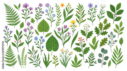 Vibrant Wildflowers and Green Leaves Assortment - Botanical Illustration