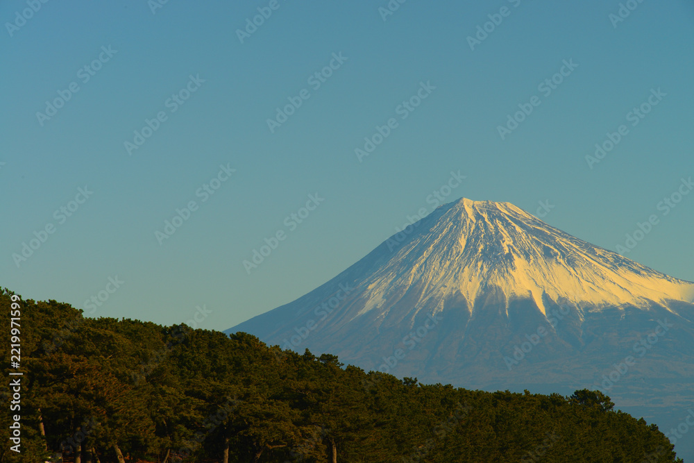 Fototapeta premium 三保の松原_富士山_静岡県静岡市清水区 
