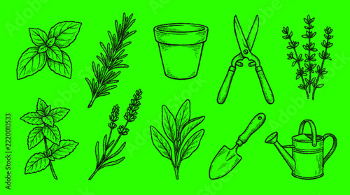 Botanical garden herbs and tools collection including basil mint rosemary and lavender with watering can and trowel in black and white sketch style.