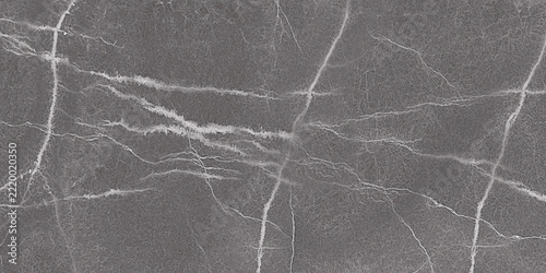 Obraz na plátně Dark gray stone texture crossed by slim pale veins and branching mineral lines,