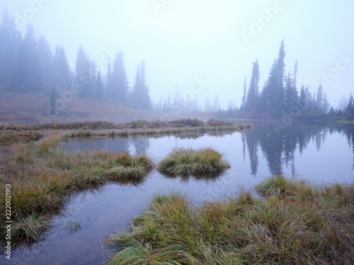Foggy morning over a small pond.