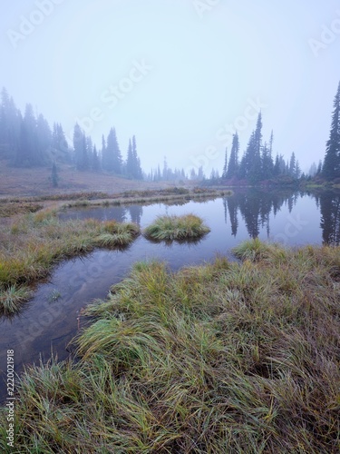 Small Washington pond in foggy morning.