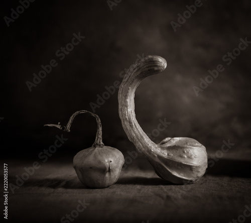 Black and white kitchen still life with pumpkins