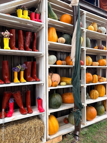 Autumn Farm Photo Zone with White Shelves, Rubber Boots, and Pumpkins