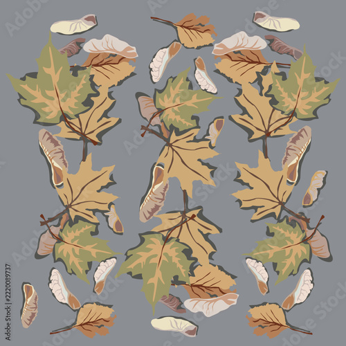 A beautiful natural pattern of maple samaras on gray asphalt. An autumn mood captured in nature's undulating lines. Eco-friendly design