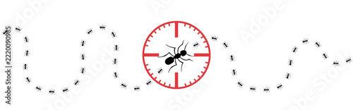 Ant trail. Ant colony marching in line. Pest control or disinfection. Vector illustration.