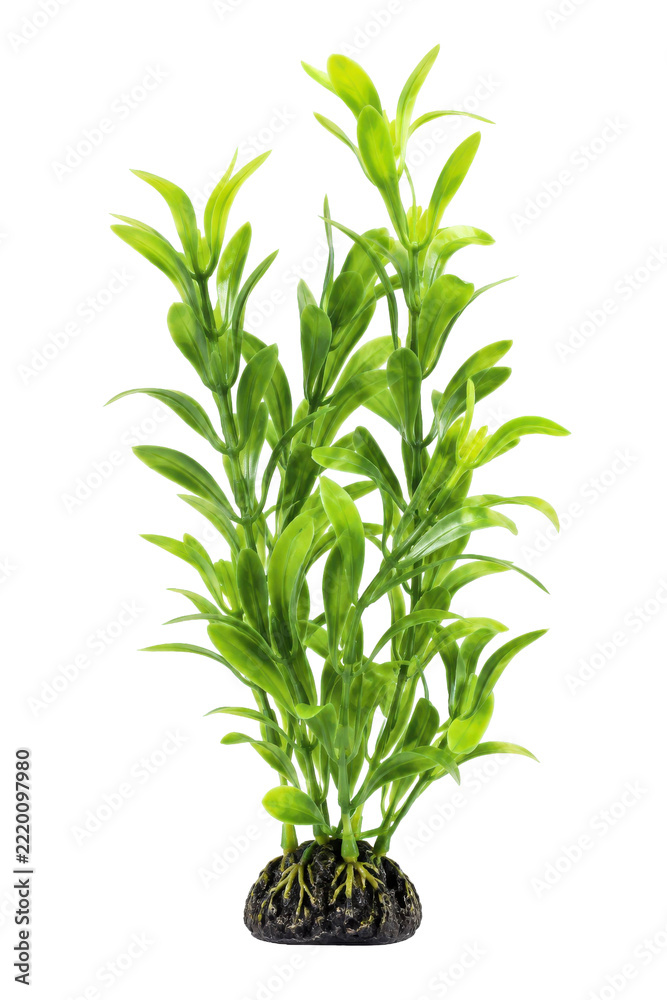 Fototapeta premium Vibrant green artificial aquatic plant with slender leaves and a dark textured base, photographed on a clean white background