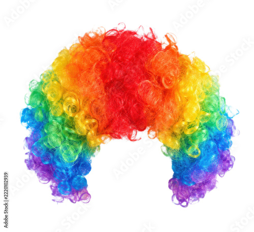 Obraz na plátně Vibrant rainbow-colored curly clown wig, a fun and festive accessory, brightly l