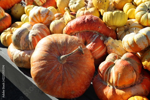 decorative pumpkins 