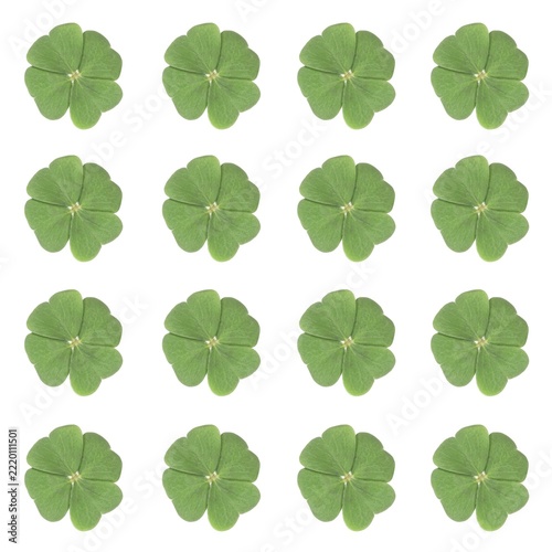 Sixteen four-leaf-clovers arranged symmetrically