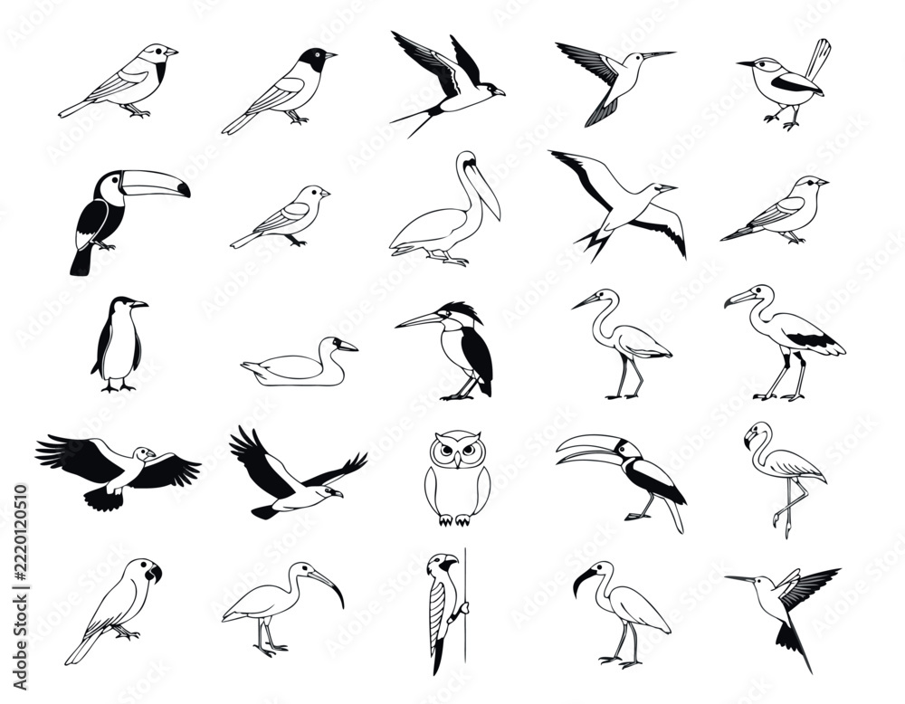 Fototapeta premium Set of various wild bird species in minimalist black and white vector