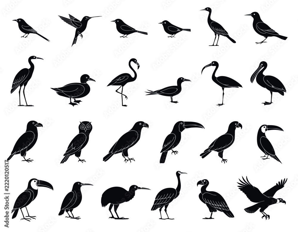 Fototapeta premium Set of black bird silhouettes for nature design projects and wildlife