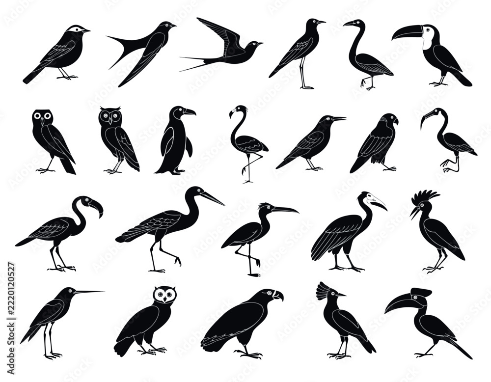 Fototapeta premium Set of black bird silhouettes collection for wildlife design and