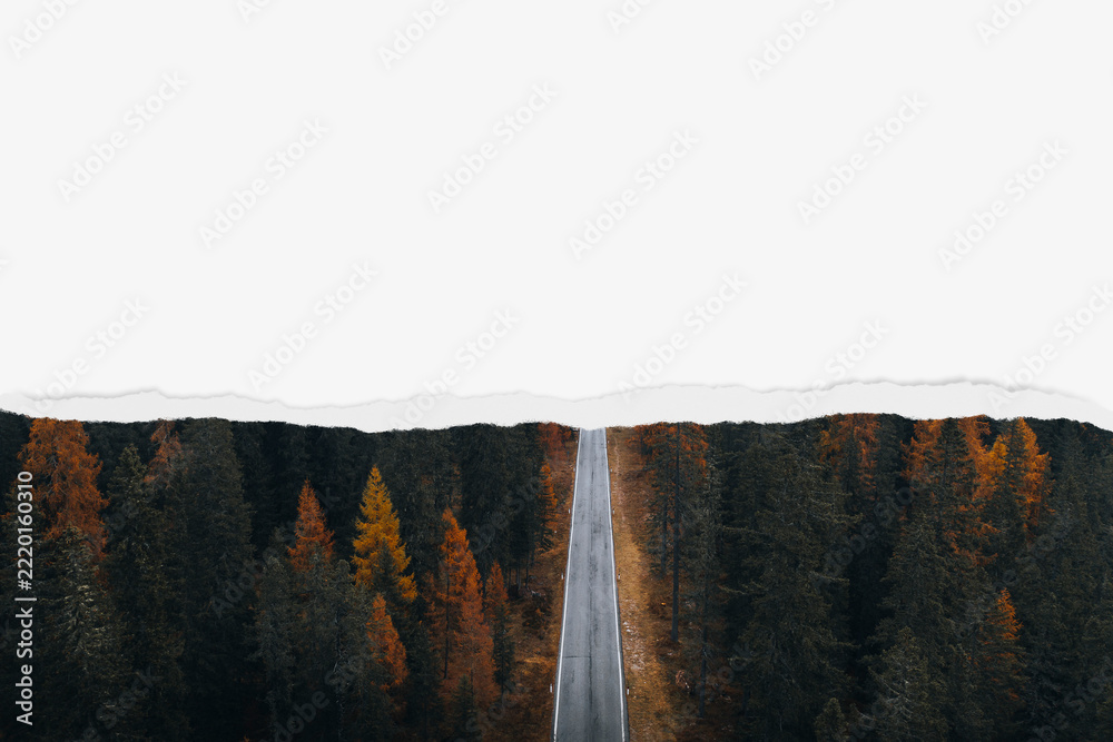 Fototapeta premium Forest road background, ripped paper border