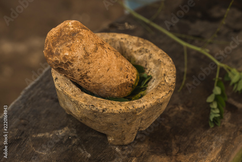 Base plant for starting the preparation of Maya blue pigment, placed inside a molcajete.
