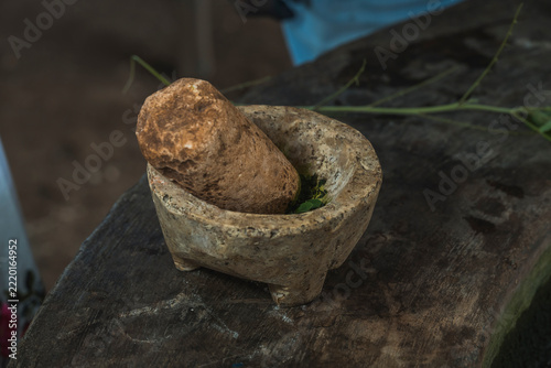 Base plant for starting the preparation of Maya blue pigment, placed inside a molcajete.
