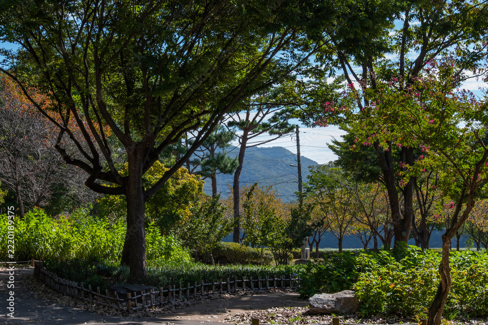 Fototapeta premium 남양주 다산생태공원 풍경, Scenery of Dasan Ecological Park in Namyangju 