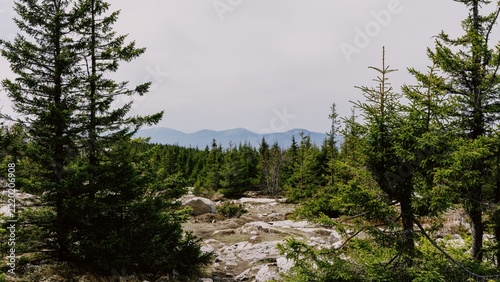 Fotografie Scenic landscape of coniferous forest and stony ground with distant mountain ran
