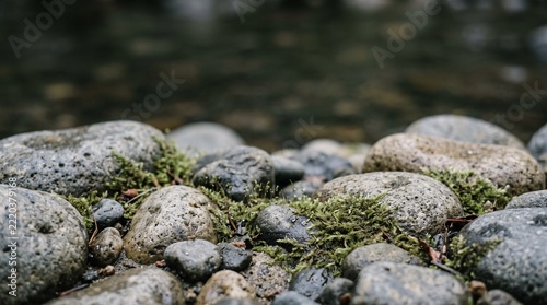 Moss covered river stones natural texture background for nature
