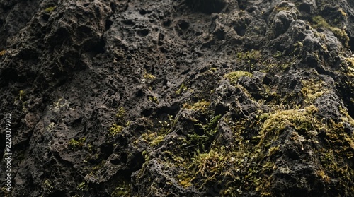 Dark volcanic rock surface covered in vibrant green moss natural