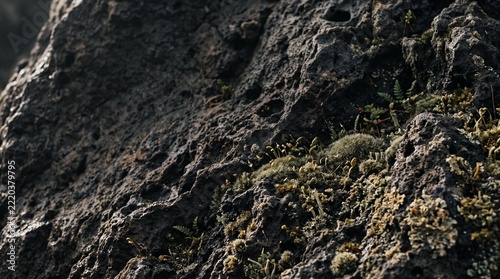 Close up of rugged volcanic rock surface covered in green moss and