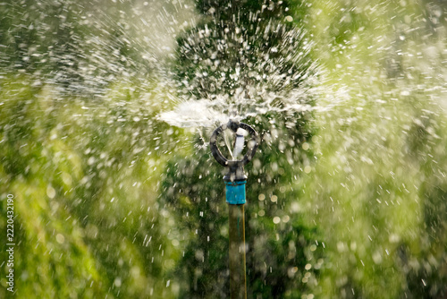 Close-up of garden sprinkler dispersing water droplets amidst greenery in sunlight