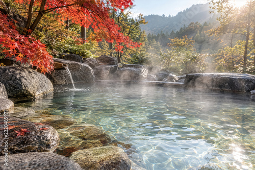 Autumn Maple Leaves Beside an Outdoor Japanese Onsen