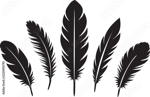 Black feather silhouettes set isolated on white background