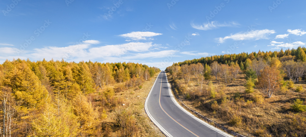 Fototapeta premium Aerial View of Empty Highway Through Golden Autumn Larch Forest