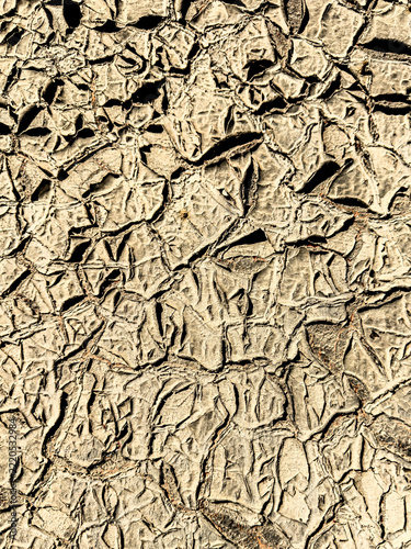 Detail of dry cracked earth texture with deep irregular golden fissures
