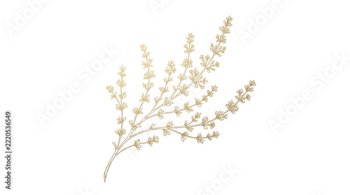 Gold line art illustration of a botanical herb sprig isolated on transparent background