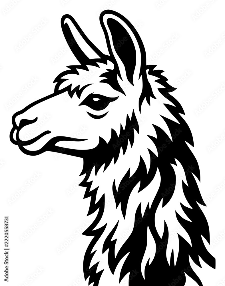 Fototapeta premium Monochrome vector llama side pro… set with simple line art design featuring line art, illustrations, graphic resources with vector and design elements