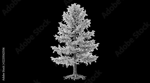 Isolated larch tree with golden autumn foliage for landscape design