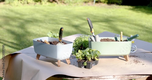 Camera panning, documenting pale blue, green planters, seedlings, trowels, watering bottle on table