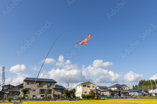 秋の水田と鳥よけの凧